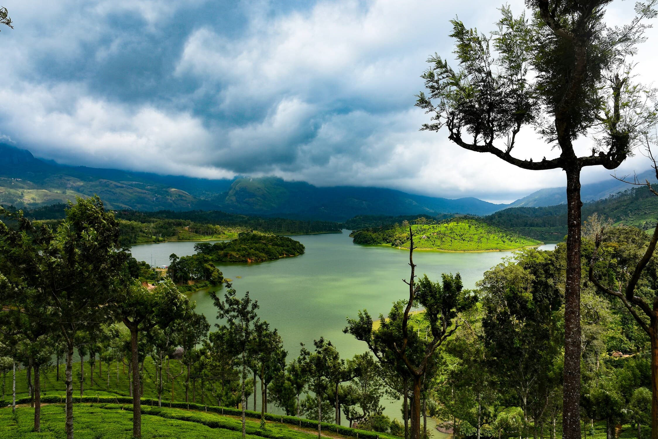 Kerala tea country